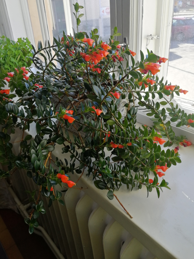 IMG_20190416_115856.jpg